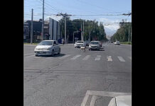 Бишкектин көчөлөрүндө чуркап жүргөн койдун видеосу