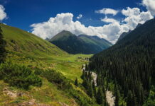 Мыйзамга «Бийик тоолуктарга көмөк» деген аталышта жөлөкпулду киргизүү сунушталууда