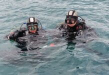 Ысык-Көлдөн эки айда 5 миң тоннадан ашык таштанды чыгарылды