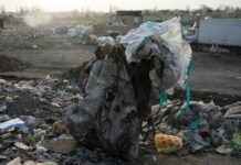 В Бишкеке введут уголовное наказание для тех, кто забирает мусор из контейнеров