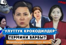 «Национальные крокодилы». Три факта лжи профессора Жоробековой