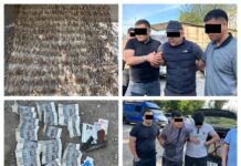 845 даана сайгак мүйүздөрүн ташыгандар кармалды