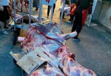 Эттин баасына мониторинг жүргүзүлдү