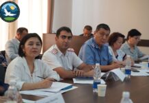 Минприроды предлагает создать в Бишкеке экополицию для борьбы со смогом