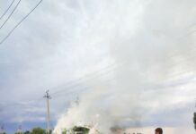 Өлкө боюнча 94 тонна кара куурай жок кылынды