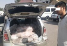 700 кг койдун этин мыйзамсыз алып чыгып бараткан Тажикстандын жараны кармалды