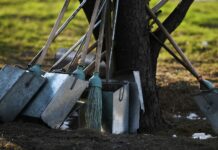 «Тазалык» просит волонтеров помочь в очистке города