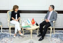 Глава МИД встретился с представителем ОБСЕ по вопросам свободы СМИ