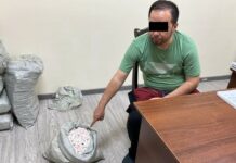 ГКНБ выявил крупную партию контрабандных «аптечных наркотиков»