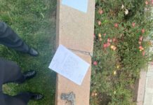 Сүрөт: Филармониянын жанында чөптүн арасынан тапанча табылды