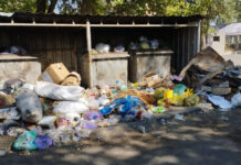 Программист из Японии подарит «Тазалыку» приложение, которое поможет очистить Бишкек