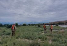 Караколдо дайынсыз болуп жаткан эки наристенин сөөгү табылды