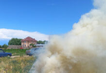 Ысык-Көлдө 40 тонна кара куурай жок кылынды