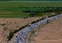 Ысык-Көл – Бишкек жолундагы тыгында жол эрежесин сактабаган 360 айдоочуга айып салынды