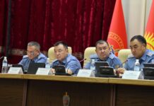 137 сотрудников ОВД привлечены к дисциплинарной ответственности, — МВД