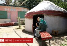 Би-Би-Си: Бөтөн жердеги бөөдө өлүм