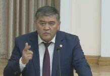 Камчыбек Ташиев Динара Кутманованы Кумтөрдүн акчасына байланыштуу айыптады