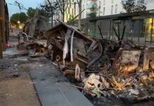 Во Франции протестующие выпустили на волю зверей из зоопарка