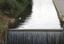 Каналдан эркек кишинин жансыз денеси табылды