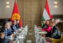 Кыргызстан менен Венгриянын ТИМ башчылары жолукту