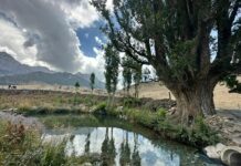 Суу-Башы каналынын курулушу аяктап, пайдаланууга берилди