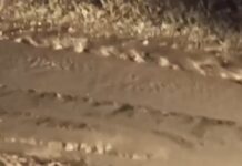 В Чон-Арыке близ Бишкека сошли сели — видео