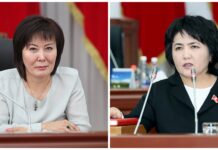 Посла Швейцарии в КР просят не давать визы инициаторам закона о фейках и членам их семей