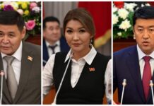 Закон о НКО. Ташиев и еще два депутата вышли из состава инициаторов