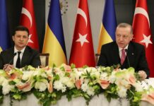 Зеленский менен Эрдоган Стамбулда жолугат