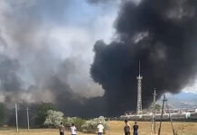 Шопоковдогу мунай базасынан чыккан өрттөн жабыркаган жаран каза болду