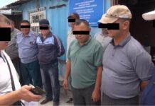 «Ат-Башы» салмак-габариттик көзөмөл башкармалыгынын кызматкерлери кармалды