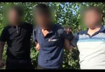 Ошто апийим менен 50 жаштагы жаран кармалды