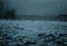 ӨКМ чукул билдирүү таратты