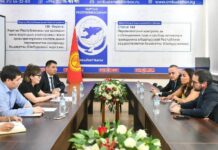 Акыйкатчы Джамиля Джаманбаева жана ЕБдин өкүлчүлүгүнүн элчиси Мэрилин Йосефсон жолугушту