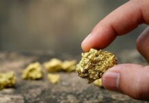 Ала-Букада мыйзамсыз алтын казуу фактысы аныкталып, кылмыш иши козголду