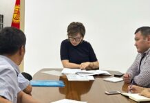 Үйү менен батирин сот аркылуу алдырып алган карыя аргасыздан Акыйкатчыга кайрылды