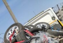 Унаа тетиктерин мыйзамсыз ташып келүү фактысы аныкталды