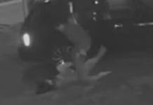 Кыз зордуктоого аракет кылды делген жаран үй камагына чыкты