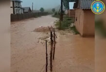 Видео: В Нарынской области мощный селевой поток затопил жилые дома