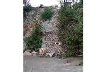 Видео: в реку Аламедин грузовики сбрасывают строительный мусор