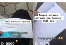 В ТикТоке обещают за деньги изготовить водительские права КР