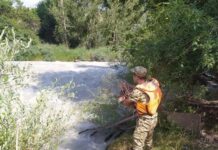 Сууга аккан наристе табыла элек