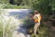 Чүйдө эс алуучу жайда наристе апасы менен сууга агып кеткен