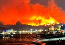 На популярных курортах Турции и Греции полыхают лесные пожары — видео