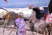 ВИДЕО: Ысык-Көлдөн он тоннадан ашуун таштанды чыгарылды