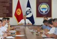 Жер тилкелерин мыйзамсыз басып алуу фактылары аныкталууда