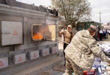 Салык кызматы жеке жактардын 2,3 млн ашуун салык декларацияларын жок кылды