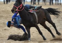 Кыргызстанская команда стала победителем клубного Кубка мира по кок бору