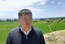 Минсельхоз: Казахстан не высказывал нам претензий после прекращения подачи воды