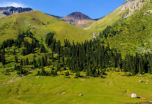 В Иссык-Кульской области сегодня произошло два землетрясения